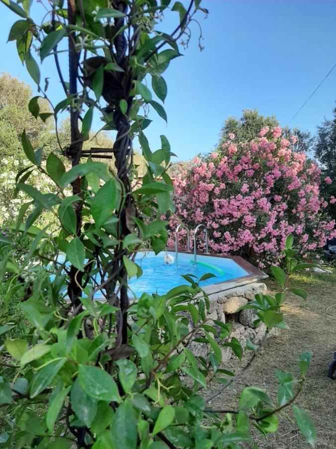 Villa Giuseppina 보니파시오 외부 사진